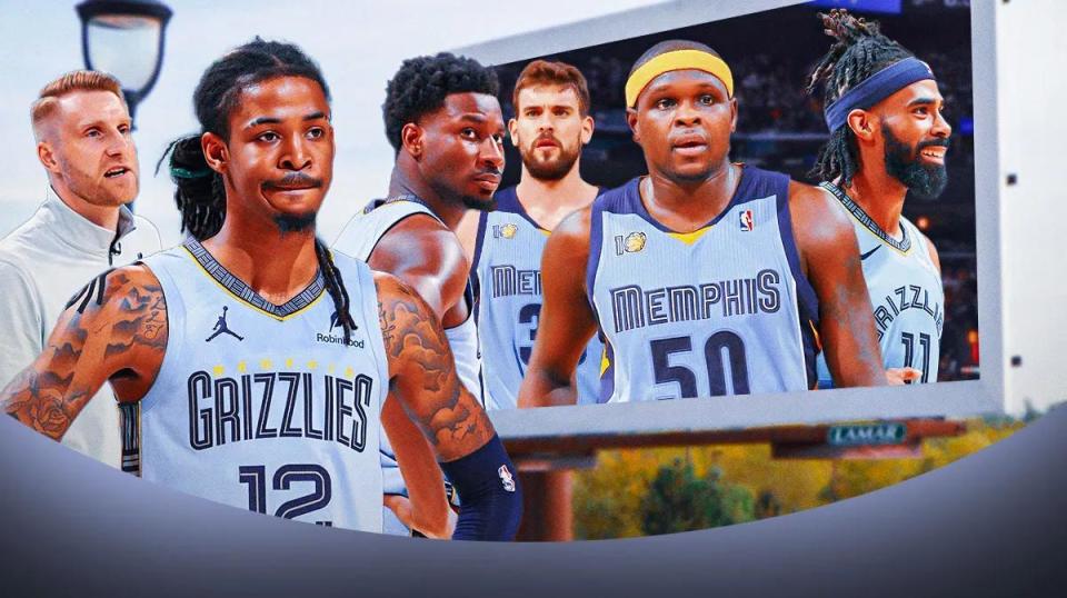 休赛期灰熊 休赛期灰熊